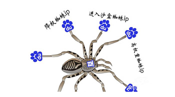 百度蜘蛛是什么？